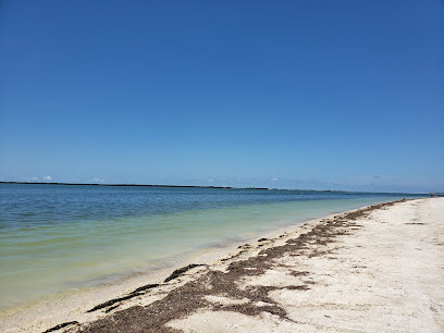 We Buy Houses Dunedin FL